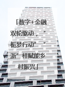 数字+金融双轮驱动，“栀梦行动”“浙”样赋能乡村振兴