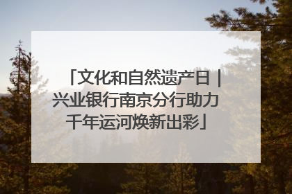 文化和自然遗产日｜兴业银行南京分行助力千年运河焕新出彩