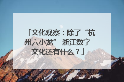 文化观察：除了“杭州六小龙” 浙江数字文化还有什么？