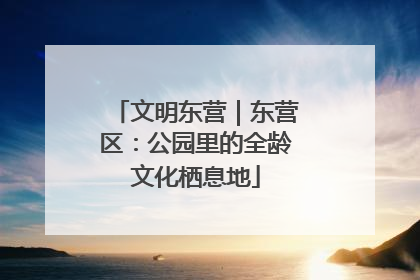 文明东营｜东营区：公园里的全龄文化栖息地