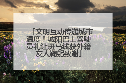 文明互动传递城市温度！城阳巴士驾驶员礼让斑马线获外籍友人鞠躬致谢