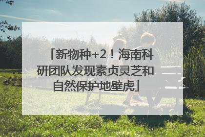 新物种+2！海南科研团队发现素贞灵芝和自然保护地壁虎