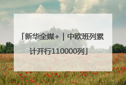 新华全媒+｜中欧班列累计开行110000列