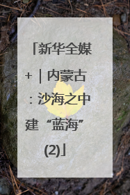 新华全媒+｜内蒙古：沙海之中建“蓝海”(2)