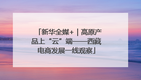 新华全媒+｜高原产品上“云”端——西藏电商发展一线观察