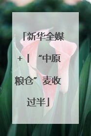 新华全媒+丨“中原粮仓”麦收过半