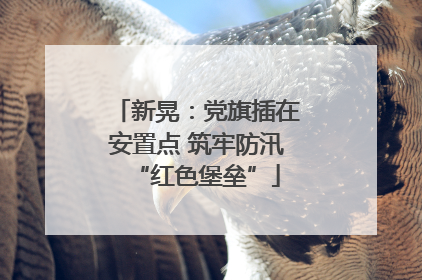 新晃：党旗插在安置点 筑牢防汛“红色堡垒”