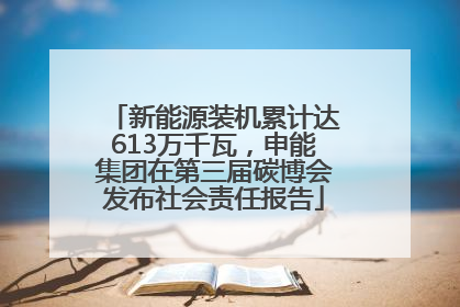 新能源装机累计达613万千瓦，申能集团在第三届碳博会发布社会责任报告