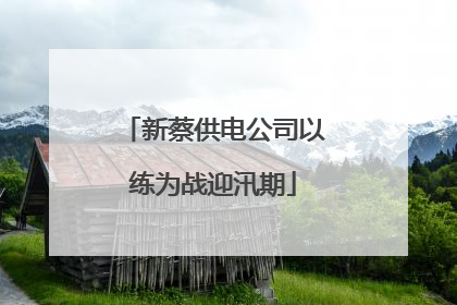 新蔡供电公司以练为战迎汛期