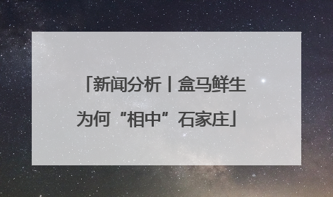 新闻分析丨盒马鲜生为何“相中”石家庄