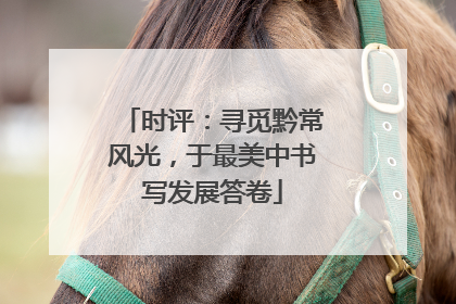时评：寻觅黔常风光，于最美中书写发展答卷