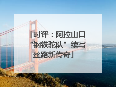 时评：阿拉山口“钢铁驼队”续写丝路新传奇