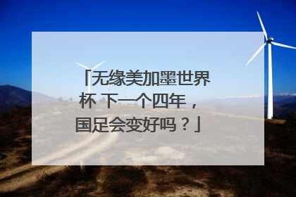 无缘美加墨世界杯 下一个四年，国足会变好吗？