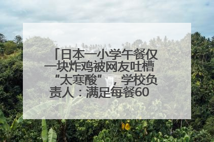日本一小学午餐仅一块炸鸡被网友吐槽“太寒酸”，学校负责人：满足每餐600千卡的标准