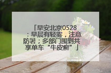 早安北京0528：早晨有轻雾，注意防暑；多部门围剿共享单车“牛皮癣”