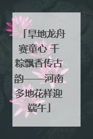 旱地龙舟赛童心 千粽飘香传古韵——河南多地花样迎端午