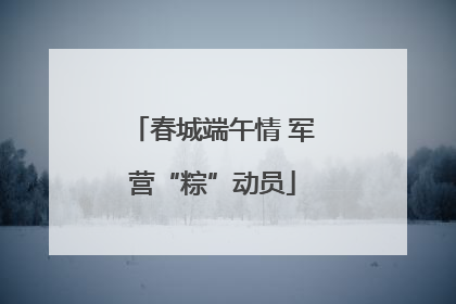 春城端午情 军营“粽”动员