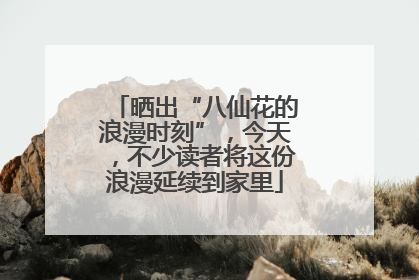 晒出“八仙花的浪漫时刻”，今天，不少读者将这份浪漫延续到家里