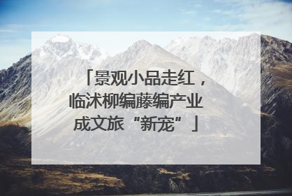 景观小品走红，临沭柳编藤编产业成文旅“新宠”