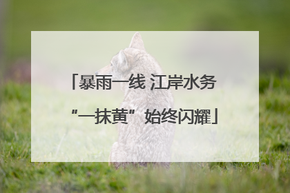 暴雨一线 江岸水务“一抹黄”始终闪耀