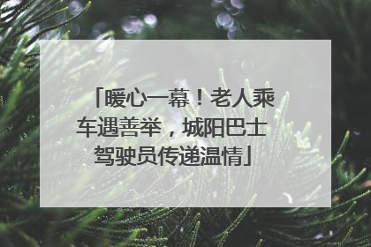 暖心一幕！老人乘车遇善举，城阳巴士驾驶员传递温情