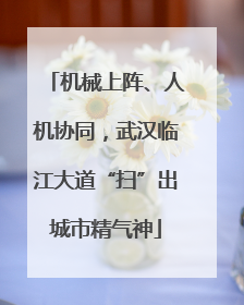 机械上阵、人机协同，武汉临江大道“扫”出城市精气神