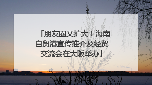朋友圈又扩大！海南自贸港宣传推介及经贸交流会在大阪举办