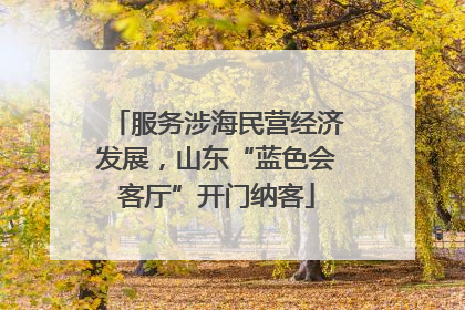 服务涉海民营经济发展，山东“蓝色会客厅”开门纳客