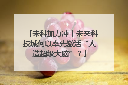 未科加力冲丨未来科技城何以率先激活“人造超级大脑”？