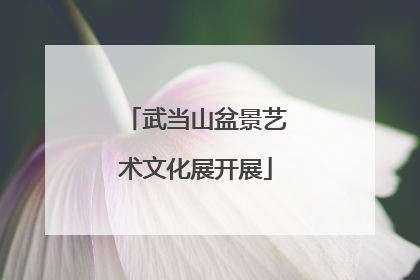 武当山盆景艺术文化展开展