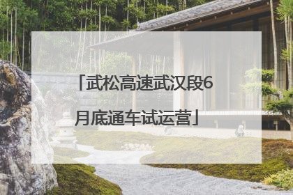 武松高速武汉段6月底通车试运营
