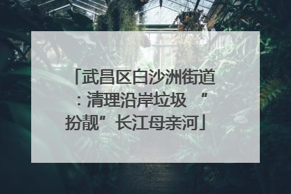 武昌区白沙洲街道：清理沿岸垃圾 “扮靓”长江母亲河