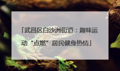 武昌区白沙洲街道：趣味运动“点燃”居民健身热情