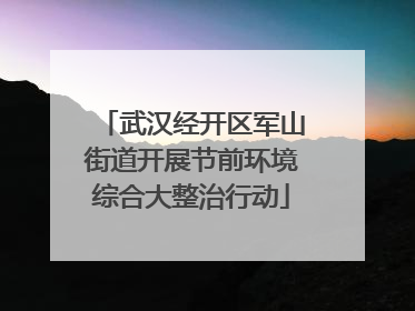 武汉经开区军山街道开展节前环境综合大整治行动