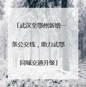 武汉至鄂州新增一条公交线，助力武鄂同城交通升级