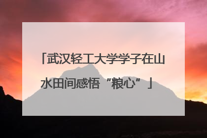 武汉轻工大学学子在山水田间感悟“粮心”