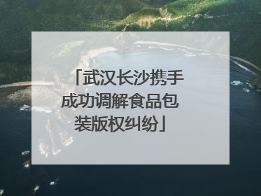 武汉长沙携手成功调解食品包装版权纠纷