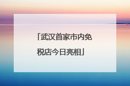 武汉首家市内免税店今日亮相