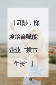 武陟：梯度培育赋能企业“拔节生长”