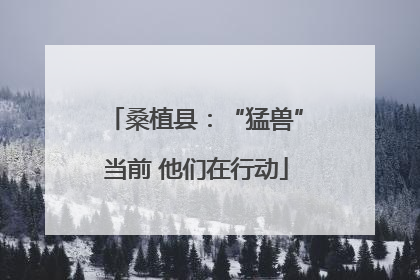 桑植县：“猛兽”当前 他们在行动