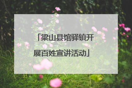 梁山县馆驿镇开展百姓宣讲活动