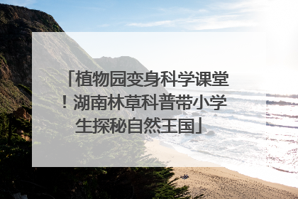 植物园变身科学课堂！湖南林草科普带小学生探秘自然王国