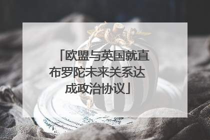 欧盟与英国就直布罗陀未来关系达成政治协议