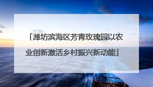 潍坊滨海区芳青玫瑰园以农业创新激活乡村振兴新动能