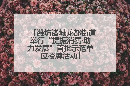 潍坊诸城龙都街道举行“提振消费·助力发展”首批示范单位授牌活动