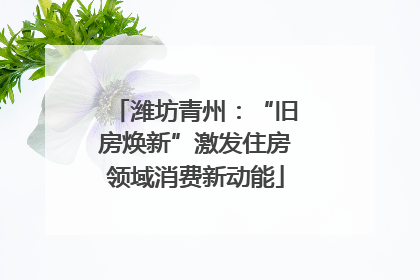 潍坊青州：“旧房焕新”激发住房领域消费新动能