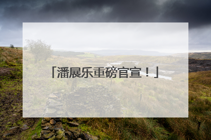 潘展乐重磅官宣！