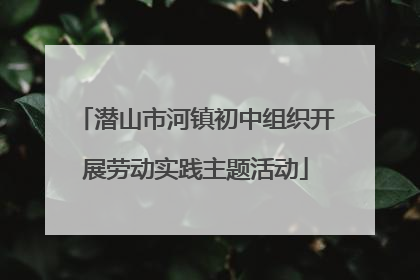潜山市河镇初中组织开展劳动实践主题活动
