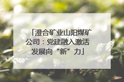 澄合矿业山阳煤矿公司：党建融入激活发展向“新”力
