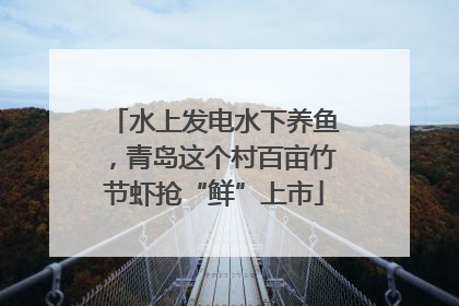 水上发电水下养鱼，青岛这个村百亩竹节虾抢“鲜”上市